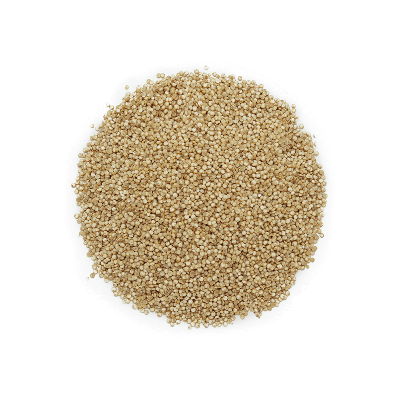 sementes do quinoa sementes do quinoa