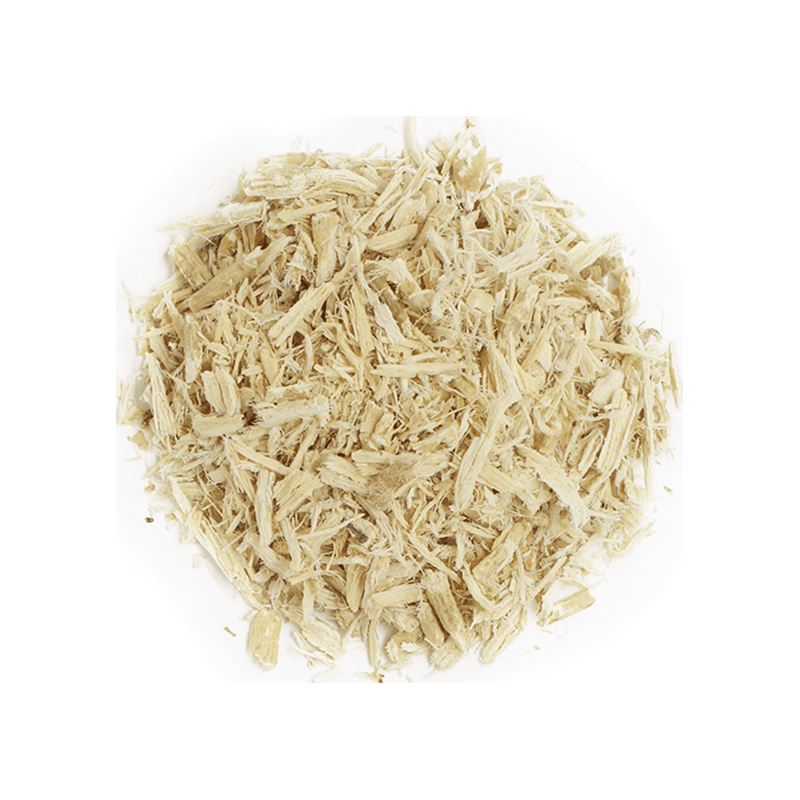 Quassia Amara Quassia Amara