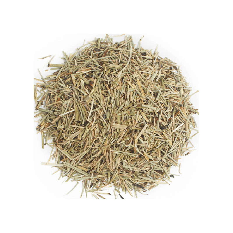Eufrasia Eufrasia