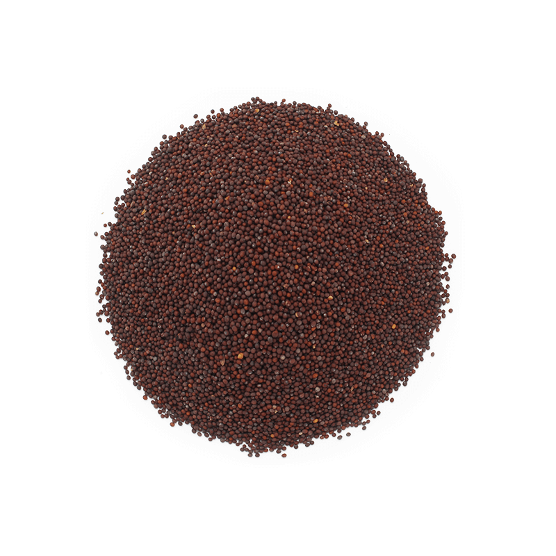 Semillas de mostaza marron Semillas de mostaza marron