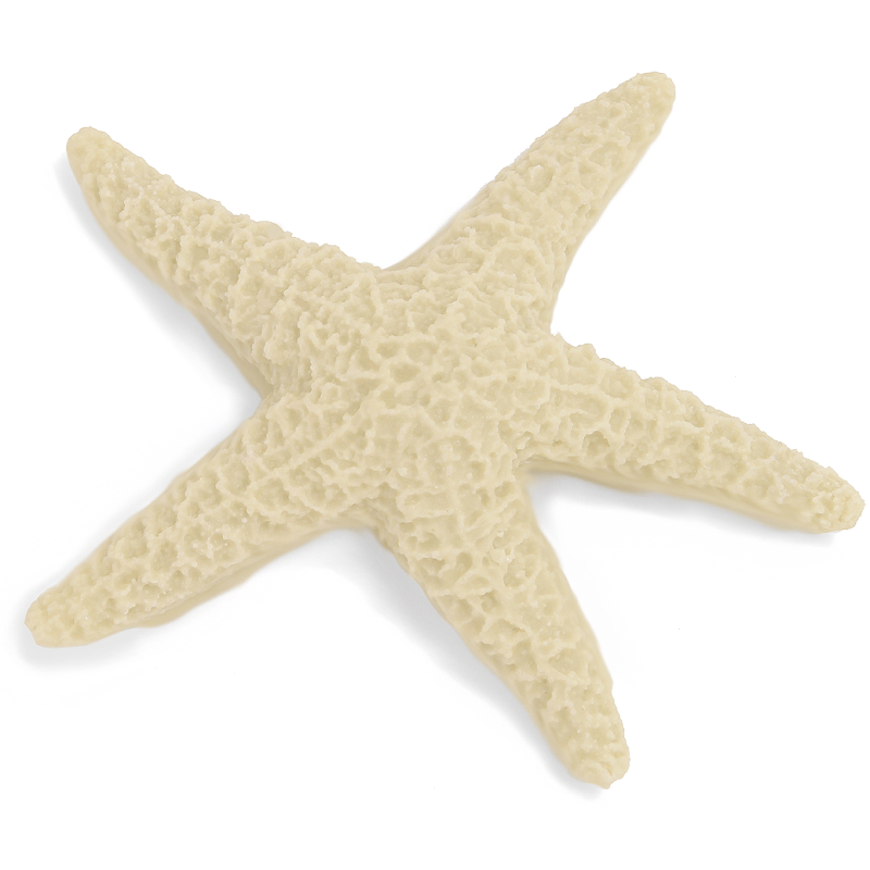 Molde silicona Estrella de Mar 