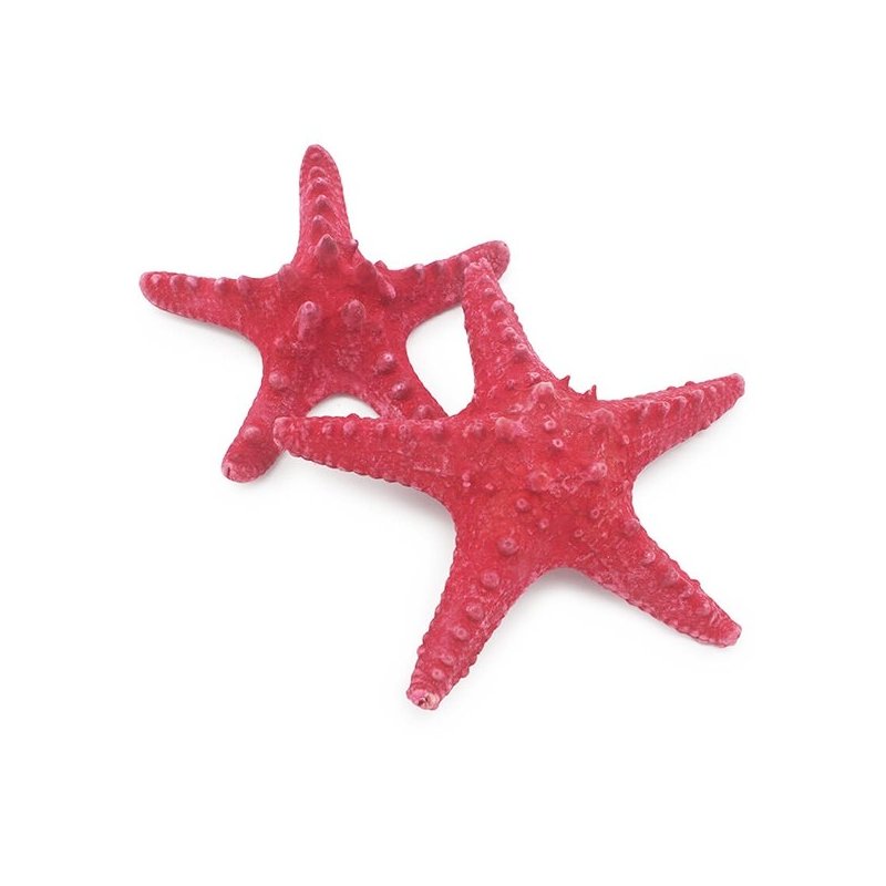 Estrellas de mar decorativas