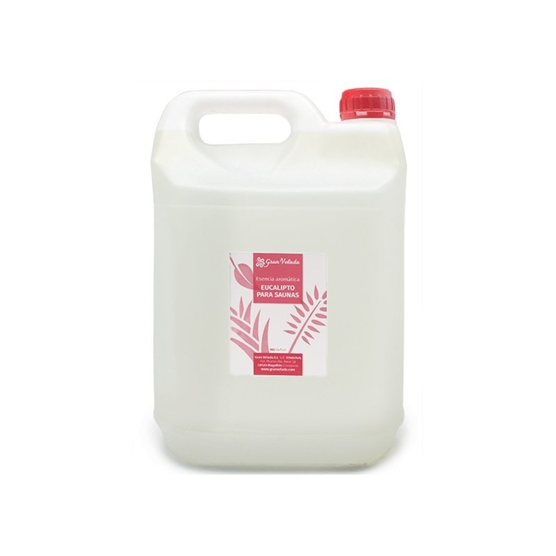 Eucaliptos essência aromática para sauna Eucaliptos essência aromática para sauna