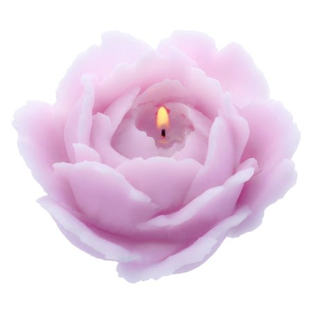Molde para hacer velas clasicas rosa