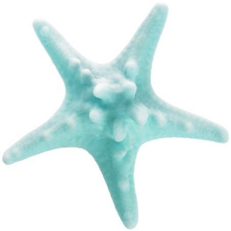 Molde forma estrella de mar 