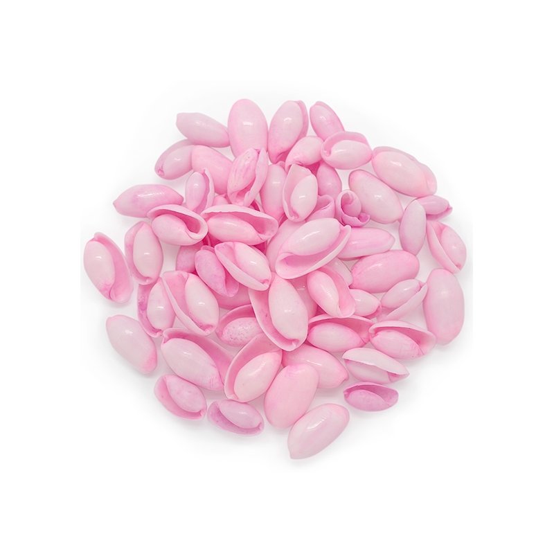 Conchas do mar cor-de-rosa Conchas do mar cor-de-rosa