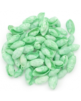 Caracolas de mar verdes