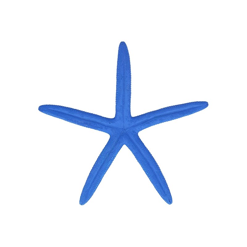 Estrella marina albina azul 