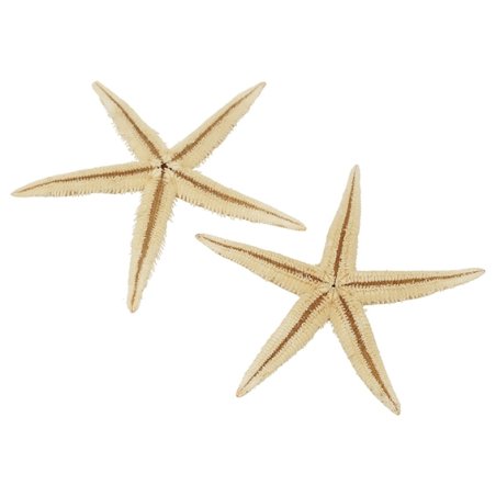 Estrella de mar filipina 10-12 cm
