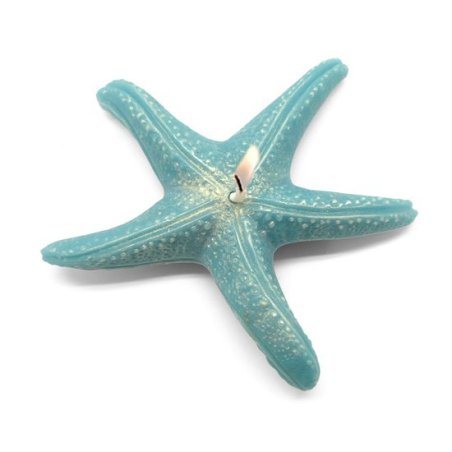 Molde para hacer velas estrella marina diy.