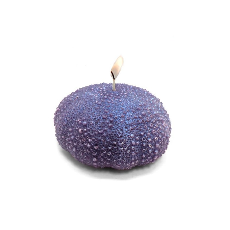 Molde para hacer velas Esponja de Mar Grande Molde para hacer velas Esponja de Mar Grande