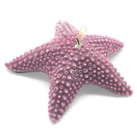 Molde de estrella esponjosa de mar para hacer tus propias velas.