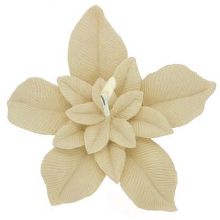 Molde flor de pascua