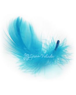 Plumas de marabu turquesas