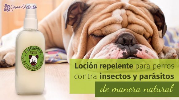 Porque Suda El Jabon De Glicerina