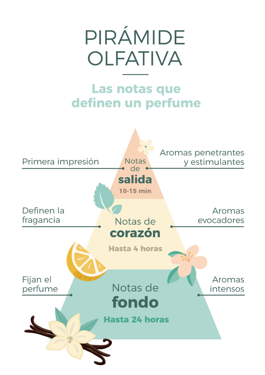 Manual para hacer perfumes: !descárgatelo gratis ahora!