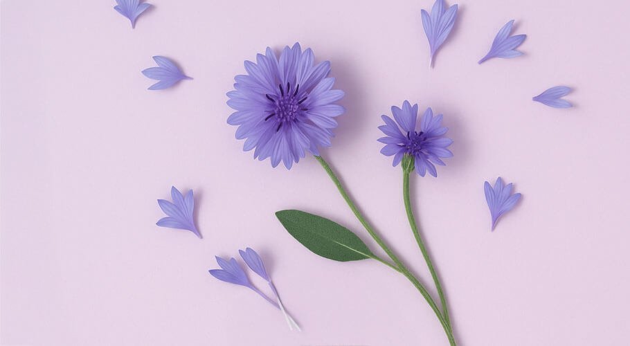 Flores secas, pétalas e botões Flores secas, pétalas e botões