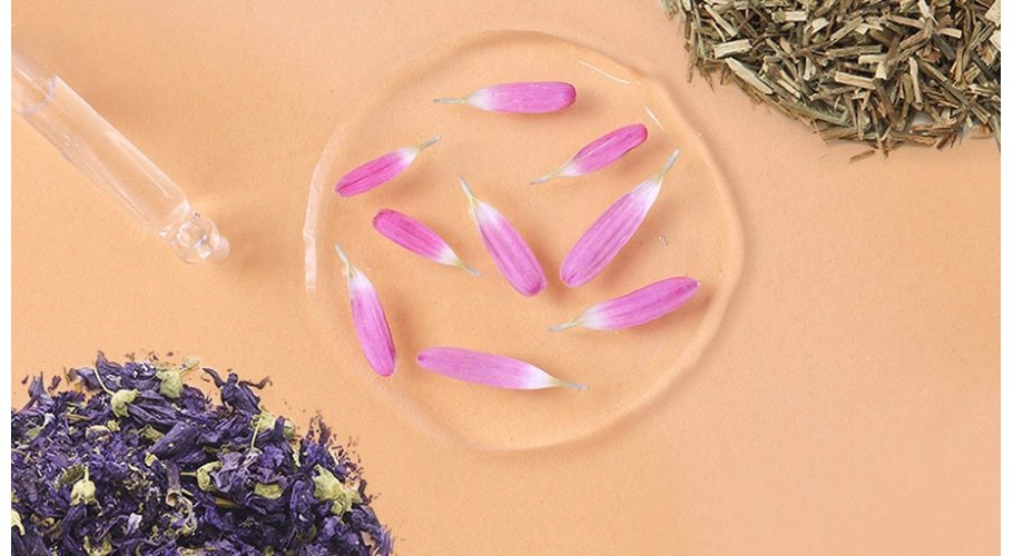Plantas para hacer macerados Plantas para hacer macerados