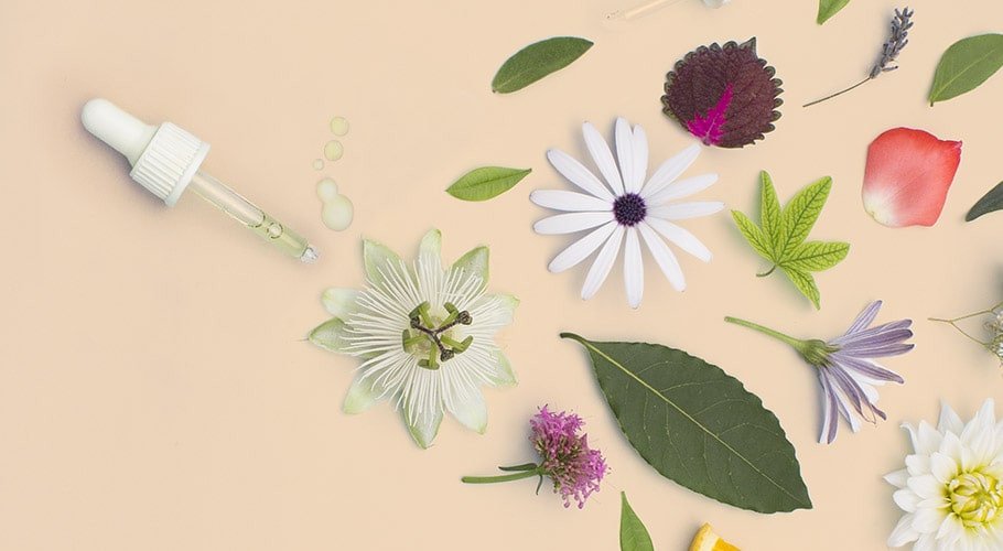 Essências aromáticas para fazer colônias e perfumes diy Essências aromáticas para fazer colônias e perfumes diy