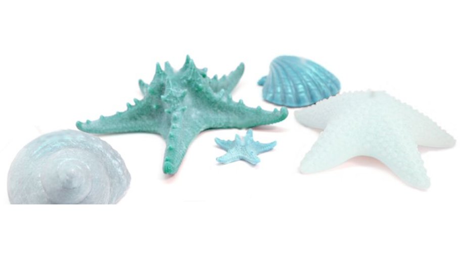 Moldes para hacer jabones de Glicerina con motivos Marinos Moldes para hacer jabones de Glicerina con motivos Marinos