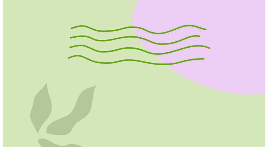 Essencias ervas verdes para sabonetes glicerina Essencias ervas verdes para sabonetes glicerina