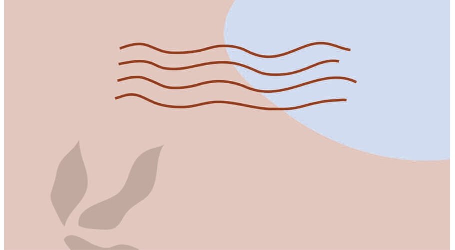 Esencias Aromáticas Especiadas para hacer jabón de glicerina Esencias Aromáticas Especiadas para hacer jabón de glicerina