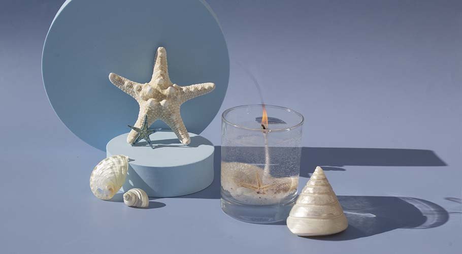 Caracolas, conchas y estrellas para hacer velas de gel Caracolas, conchas y estrellas para hacer velas de gel