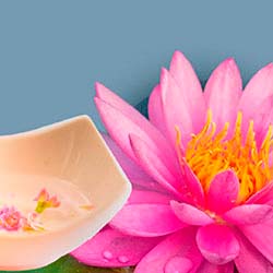 Esencia aromatica flor de loto