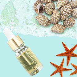 Esencia aromatica de brisa marina