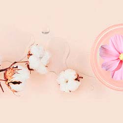 Esencia aromatica flor de algodon