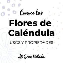 Flores de calendula seca