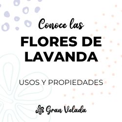 Lavanda flor