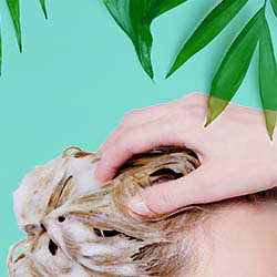 Champu organico base