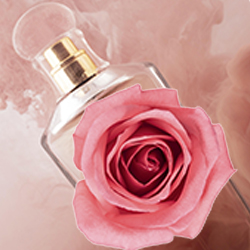 Esencia aromatica de rosas