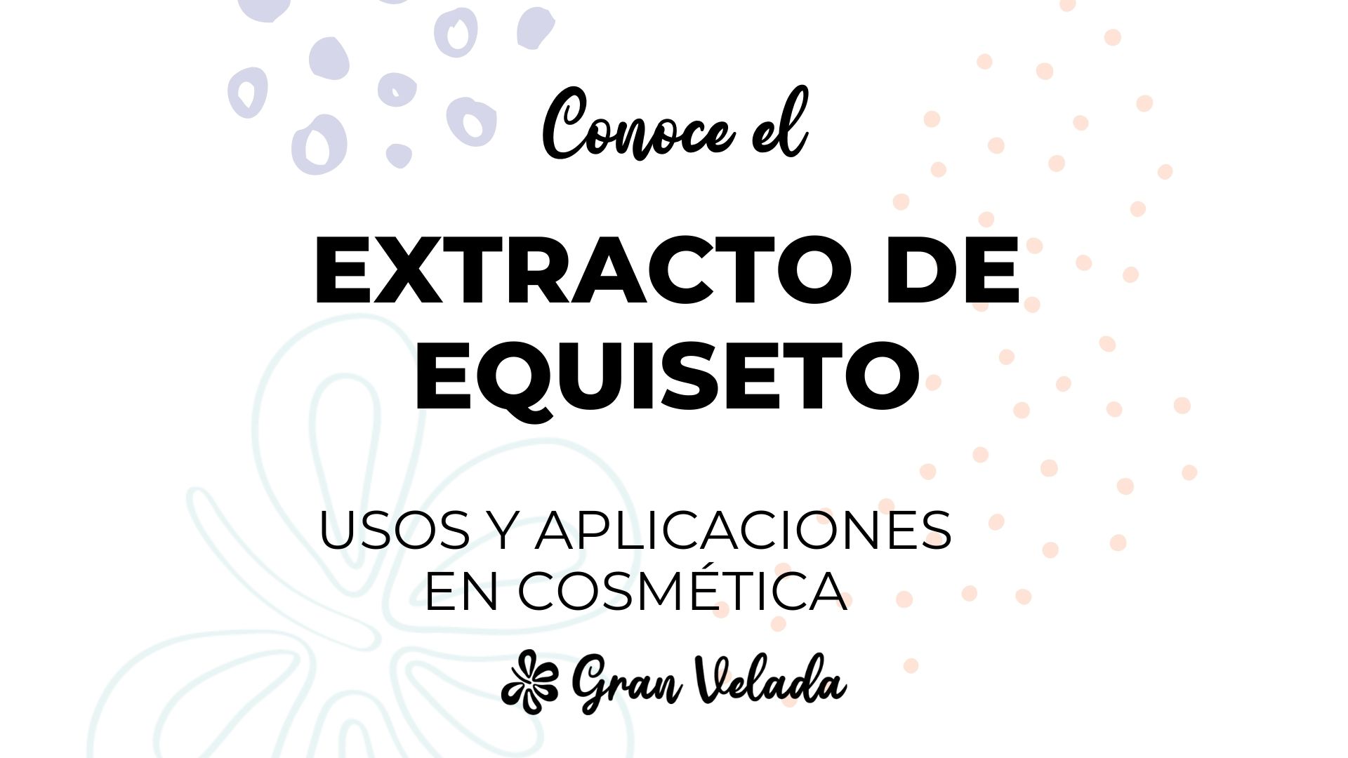 Extracto de equiseto